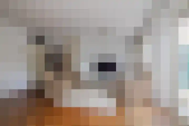 Albert Verweijlaan 31 Hillegom thumbnail 9