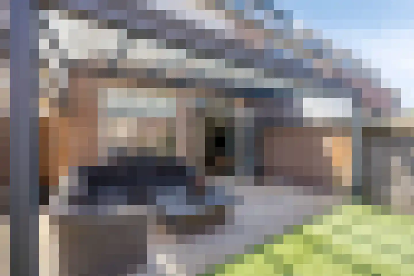 Albert Verweijlaan 45 Hillegom thumbnail 32