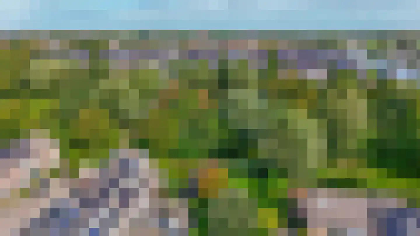 Albert Verweijlaan 45 Hillegom thumbnail 40