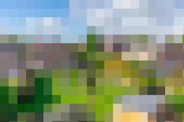Albert Verweijlaan 62 Hillegom thumbnail 33