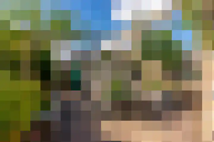 Albert Verweijlaan 62 Hillegom thumbnail 35