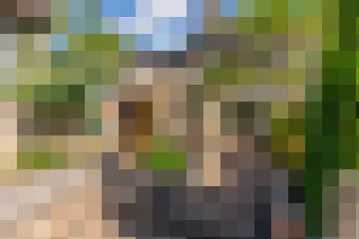 Albert Verweijlaan 62 Hillegom thumbnail 36