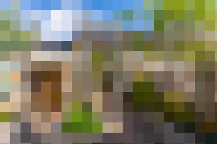 Albert Verweijlaan 62 Hillegom thumbnail 37
