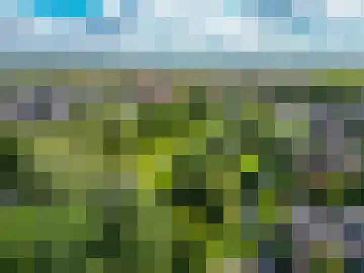 Albert Verweijlaan 62 Hillegom thumbnail 42