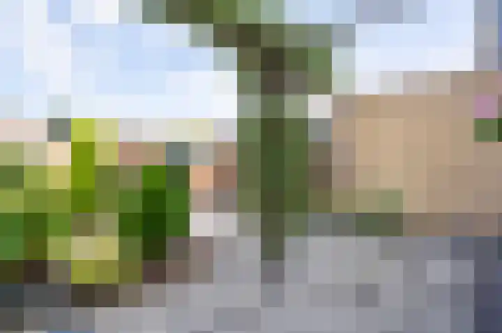 Albert Verweijstraat 17 Papendrecht thumbnail 4