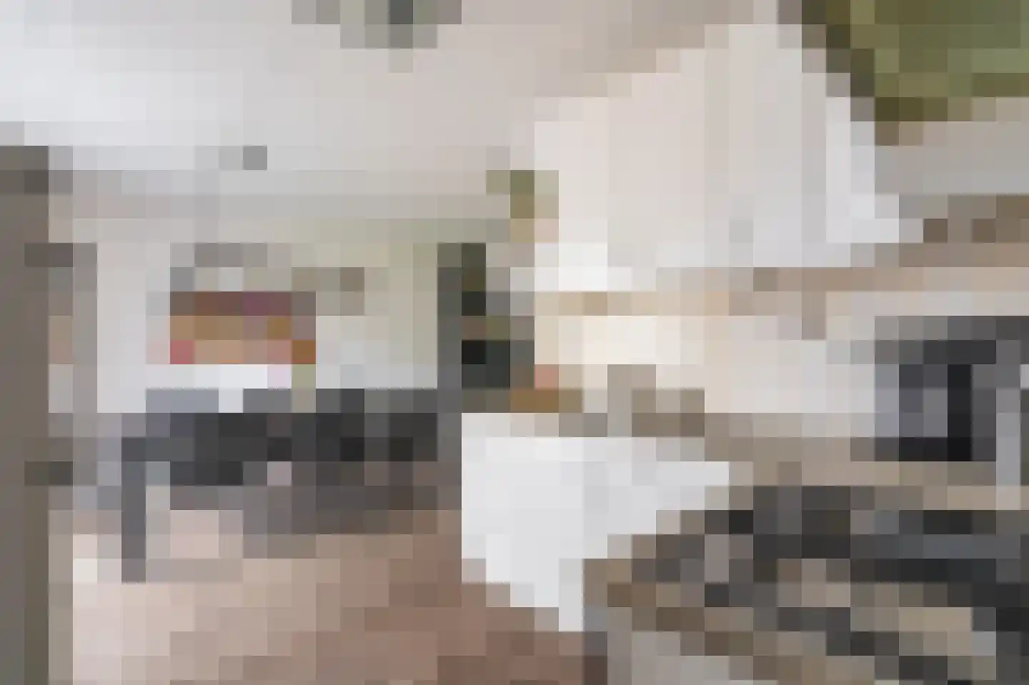 Albert Verweijstraat 43 Winschoten thumbnail 29