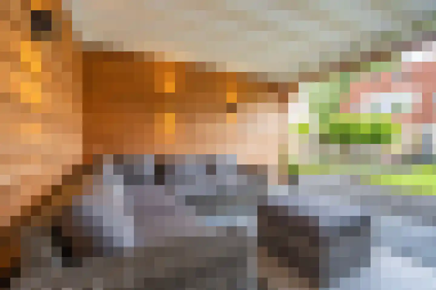 Albert Verweijstraat 43 Winschoten thumbnail 62