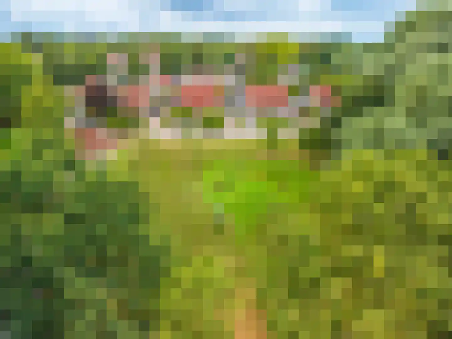 Albert Verweijstraat 43 Winschoten thumbnail 76