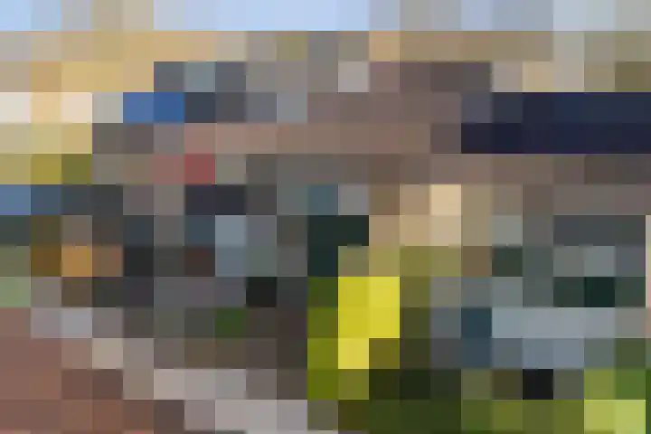 Albert Verweijstraat 6 Hazerswoude-Rijndijk thumbnail 8