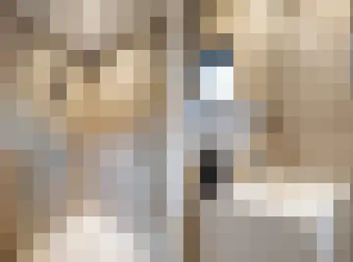 Albert Verweijstraat 7 Breda thumbnail 20