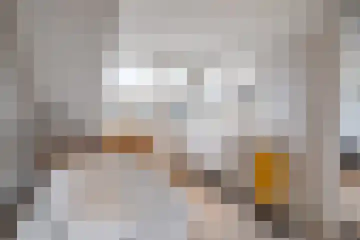 Albert Verweijstraat 7 Breda thumbnail 30