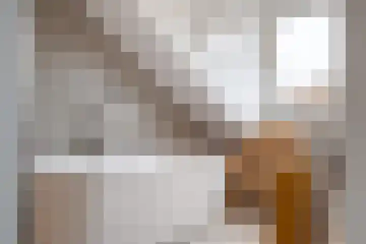 Albert Verweijstraat 7 Breda thumbnail 31