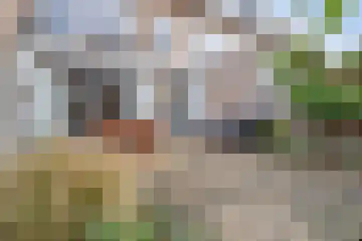 Albert Verweijstraat 7 Breda thumbnail 36