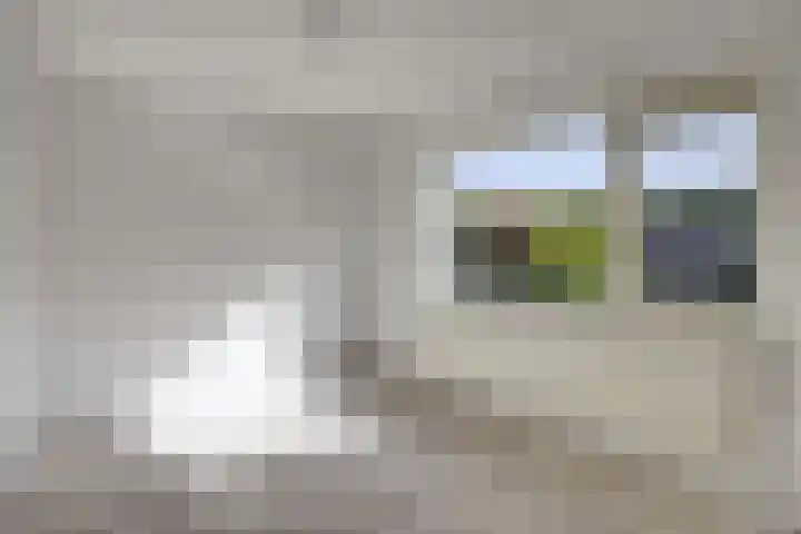 Albert Verweylaan 10 Uithoorn thumbnail 12