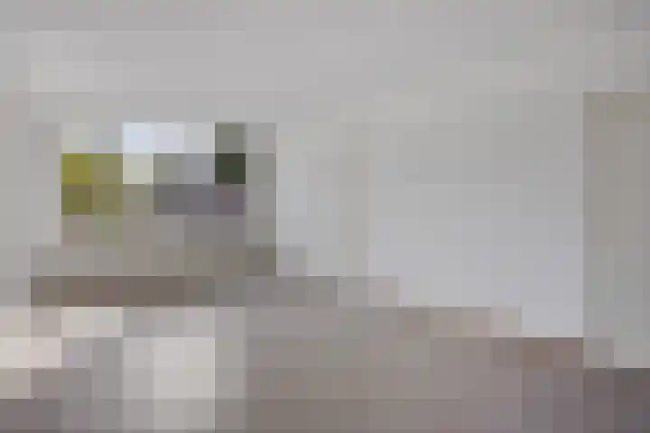 Albert Verweylaan 10 Uithoorn foto 2