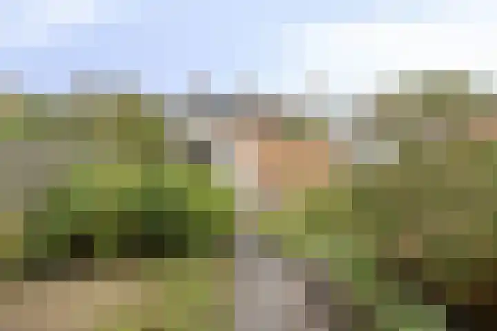 Albert Verweylaan 10 Uithoorn thumbnail 22