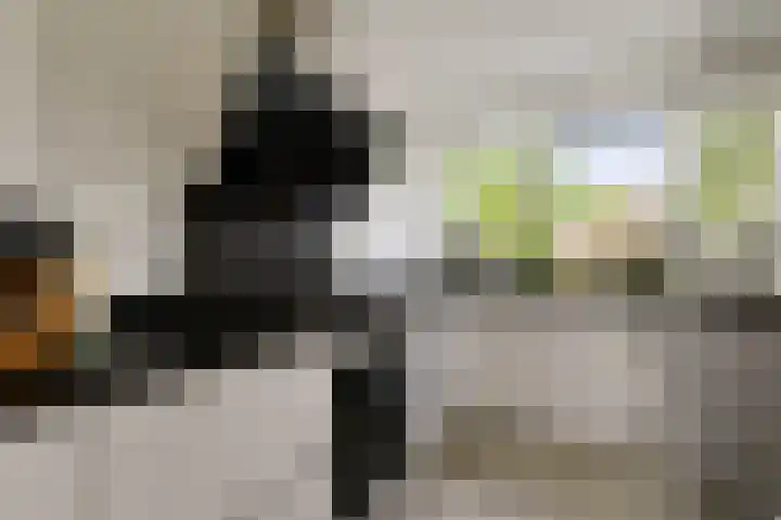 Albert Verweylaan 101 Uithoorn thumbnail 9