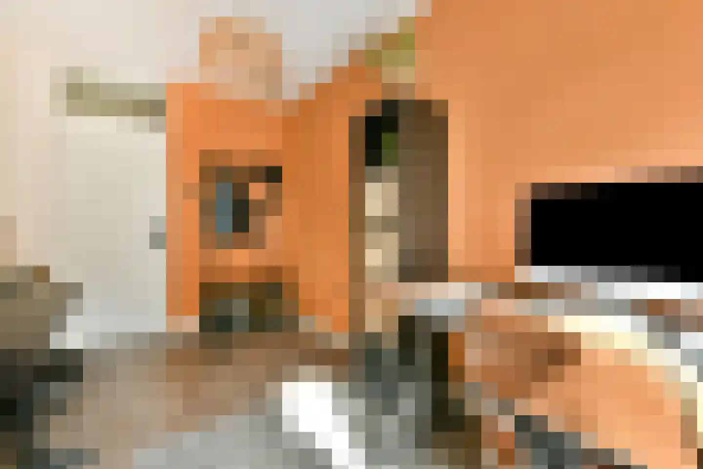 Albert Verweylaan 11 II Haarlem thumbnail 30