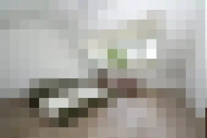 Albert Verweylaan 16 Uithoorn thumbnail 21
