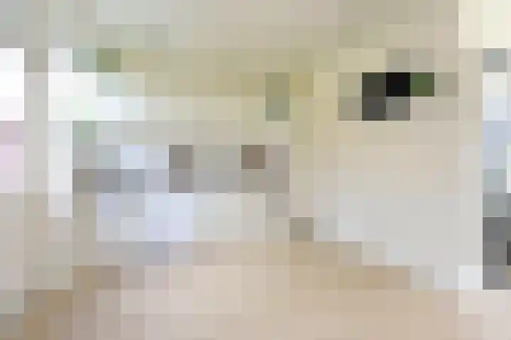 Albert Verweylaan 16 Uithoorn thumbnail 6