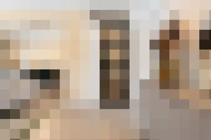 Albert Verweylaan 17 Haarlem thumbnail 22