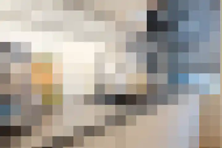 Albert Verweylaan 17 Haarlem thumbnail 24