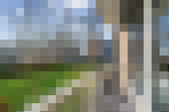 Albert Verweylaan 17 Haarlem thumbnail 34