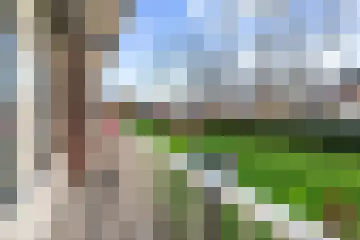 Albert Verweylaan 17 Haarlem thumbnail 5