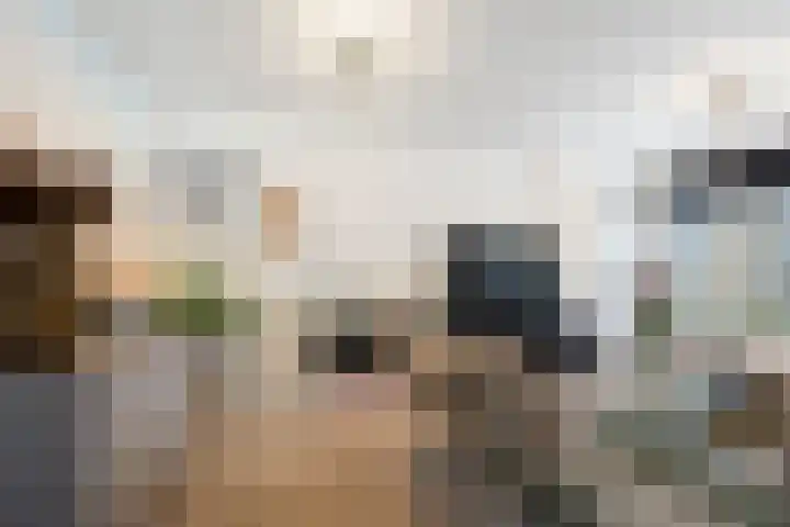 Albert Verweylaan 17 Haarlem thumbnail 6