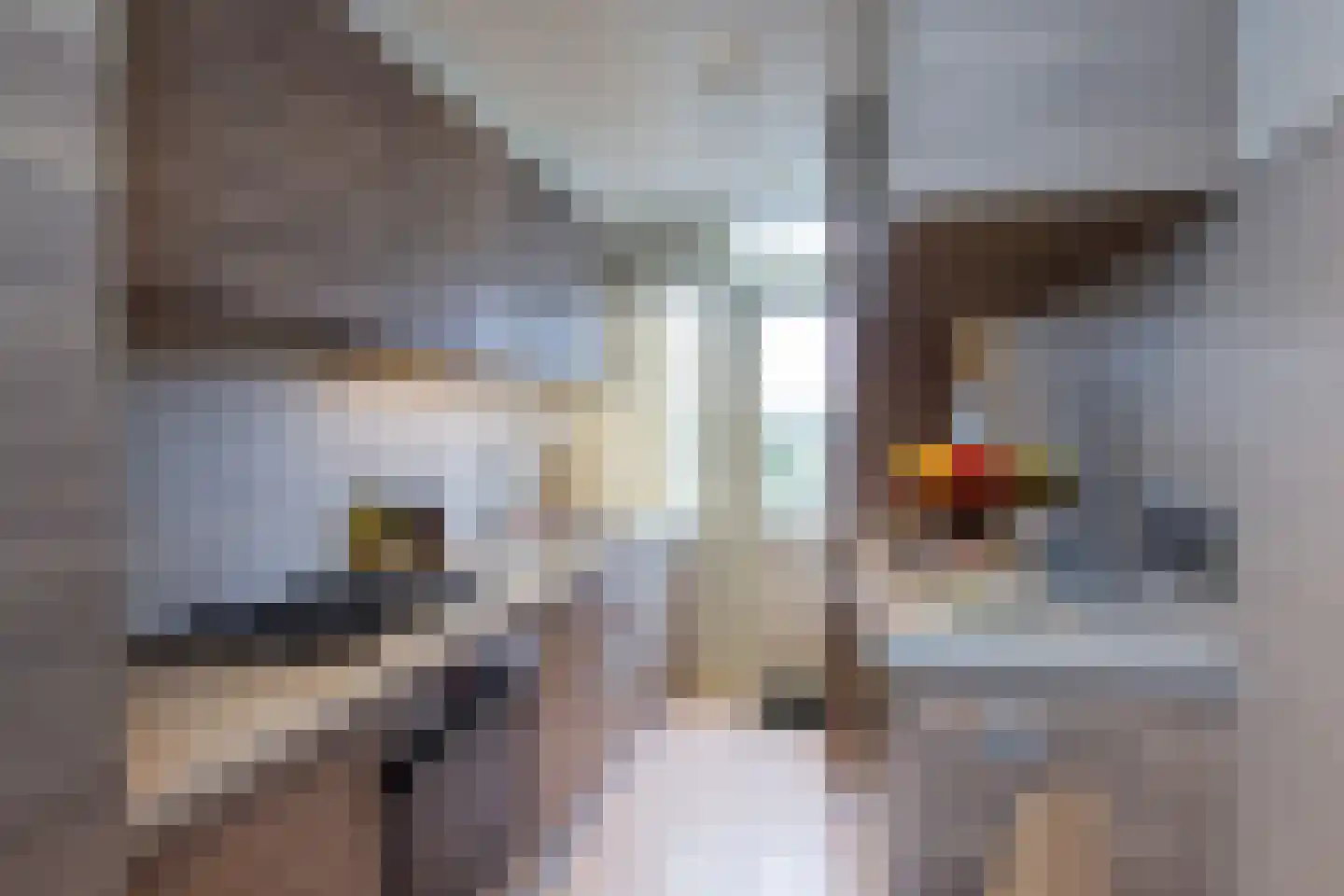 Albert Verweylaan 17 II Haarlem thumbnail 26