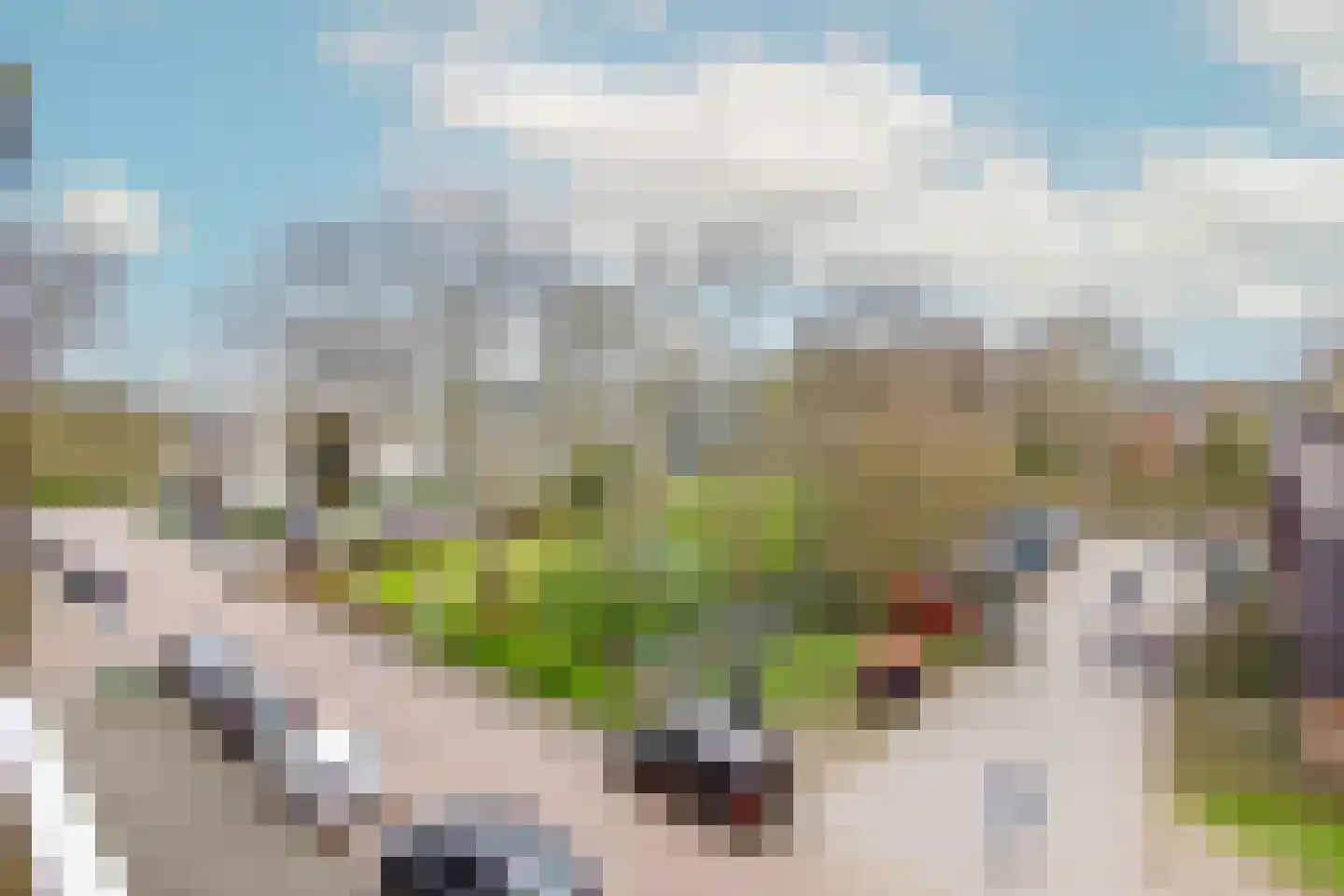 Albert Verweylaan 17 II Haarlem thumbnail 33