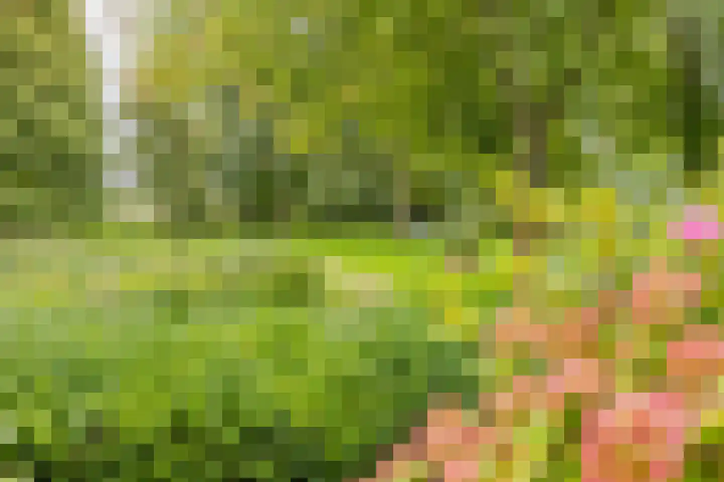 Albert Verweylaan 20 Driehuis NH thumbnail 32