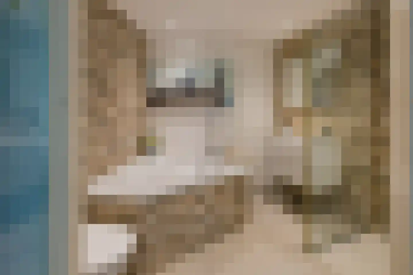 Albert Verweylaan 20 Driehuis NH thumbnail 38