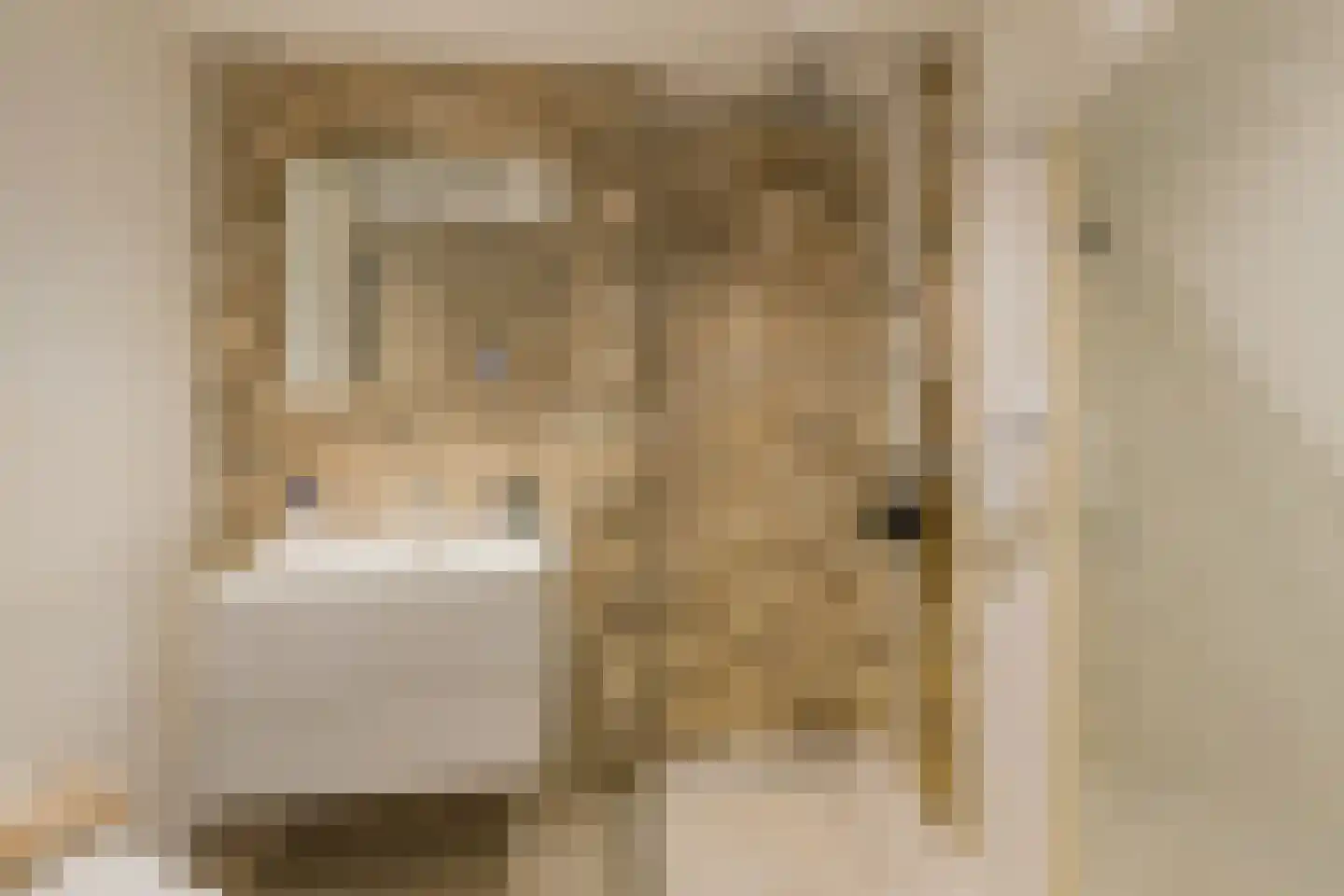 Albert Verweylaan 20 Driehuis NH thumbnail 39