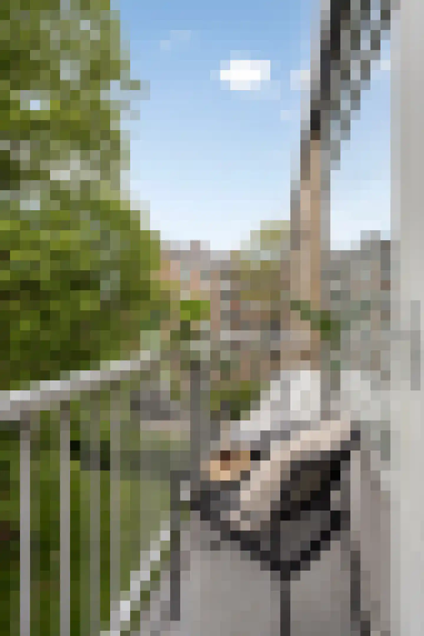 Albert Verweylaan 21 II Haarlem thumbnail 13