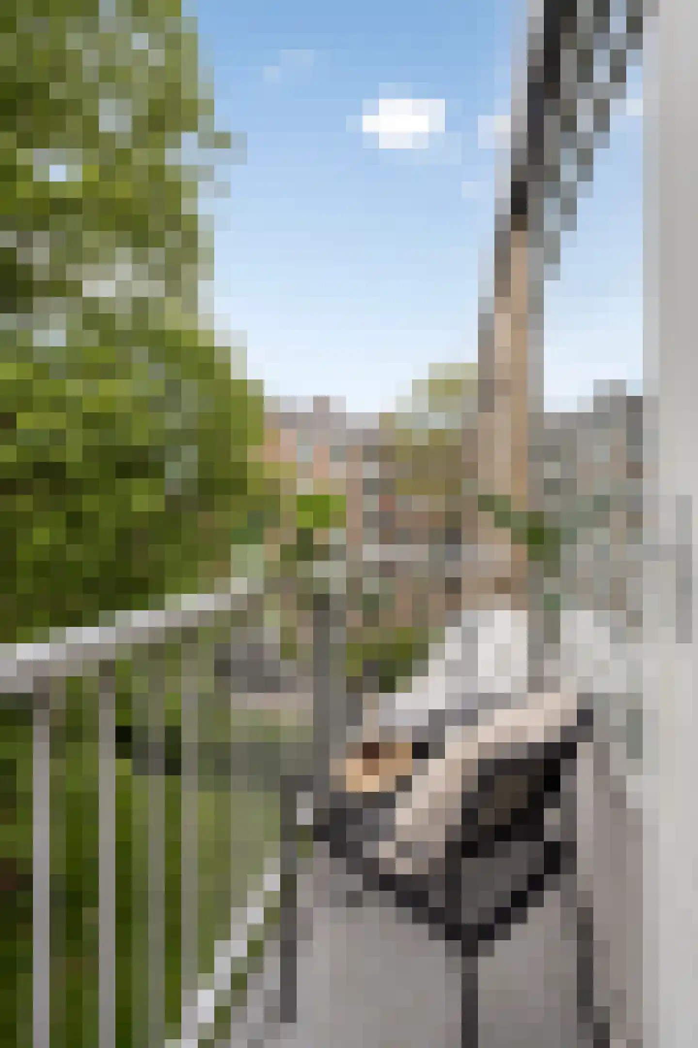 Albert Verweylaan 21 II Haarlem thumbnail 14