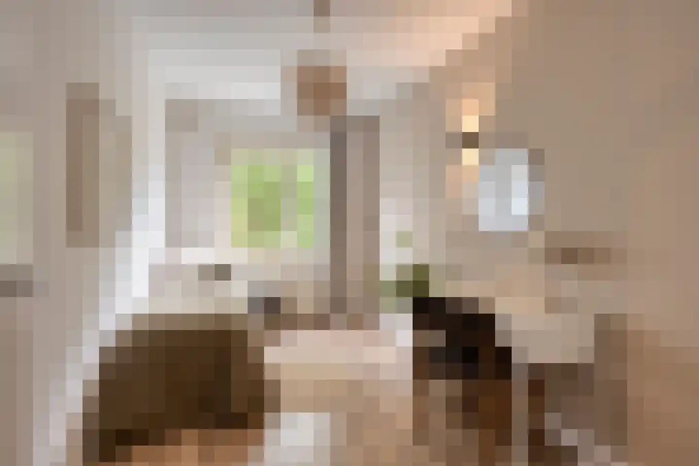 Albert Verweylaan 21 II Haarlem thumbnail 34