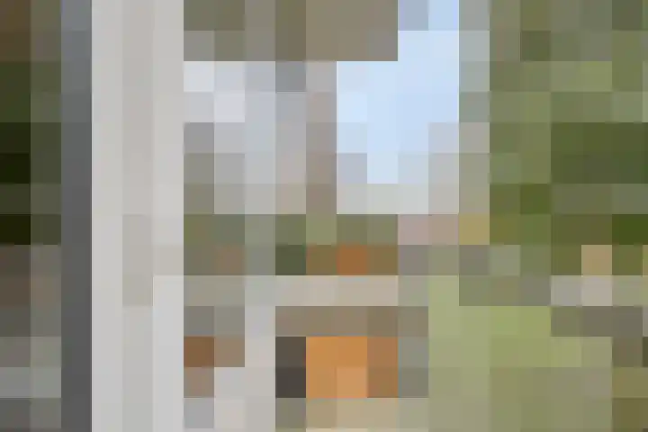 Albert Verweylaan 23 I Haarlem thumbnail 16