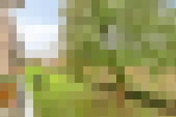 Albert Verweylaan 23 I Haarlem thumbnail 19