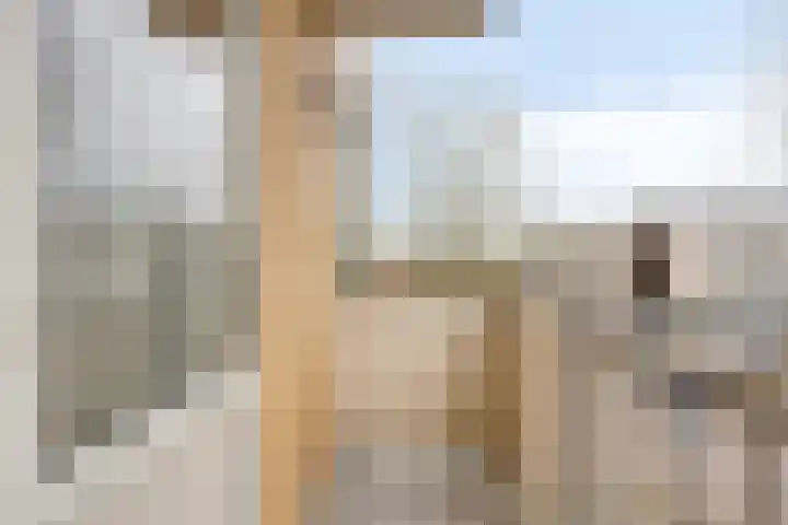 Albert Verweylaan 23 I Haarlem thumbnail 22