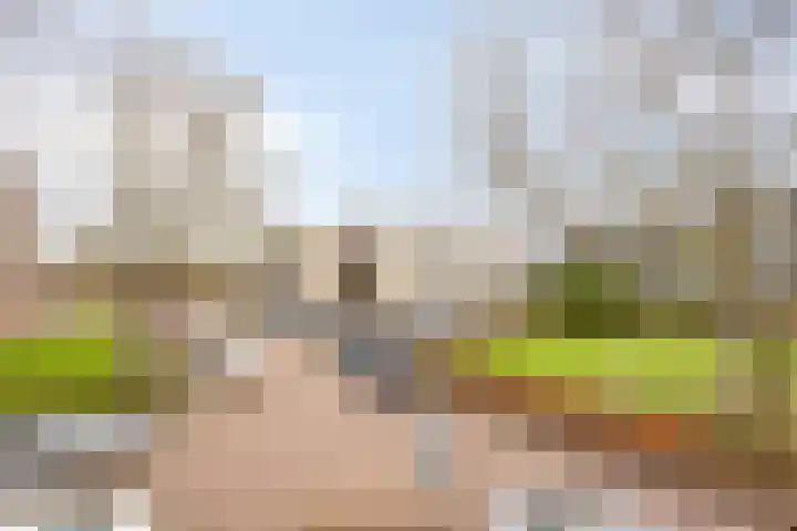 Albert Verweylaan 23 I Haarlem thumbnail 23