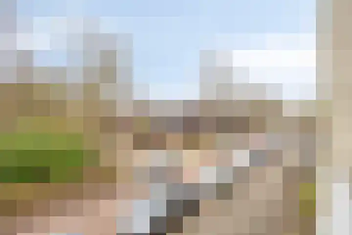 Albert Verweylaan 23 I Haarlem thumbnail 24