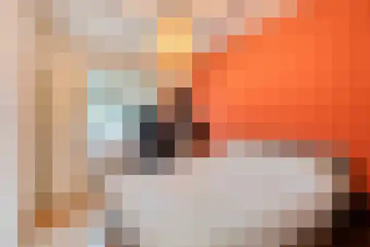 Albert Verweylaan 23 I Haarlem thumbnail 25