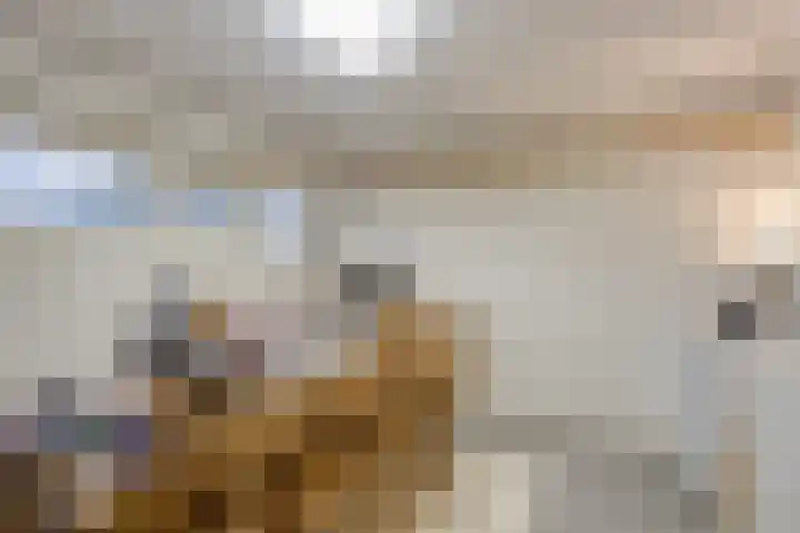 Albert Verweylaan 23 I Haarlem thumbnail 29