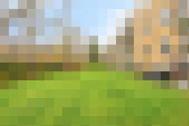 Albert Verweylaan 23 I Haarlem thumbnail 36