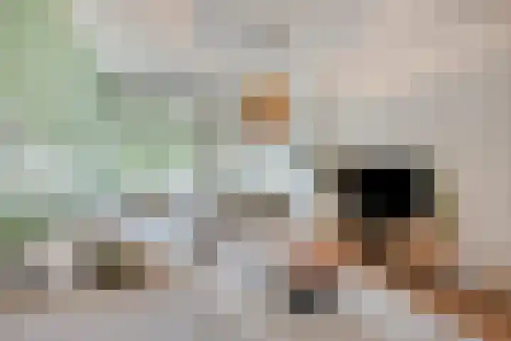 Albert Verweylaan 23 I Haarlem thumbnail 8