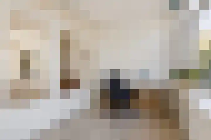 Albert Verweylaan 3 Haarlem thumbnail 10