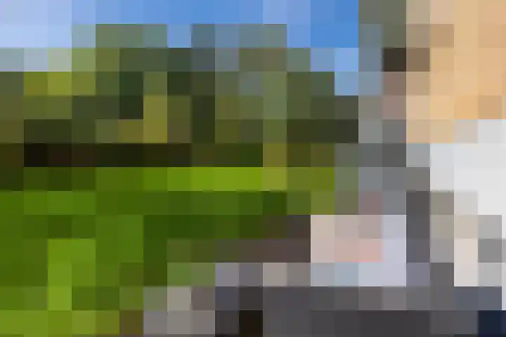 Albert Verweylaan 3 Haarlem thumbnail 22