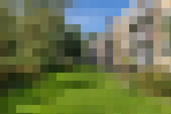 Albert Verweylaan 3 Haarlem thumbnail 23