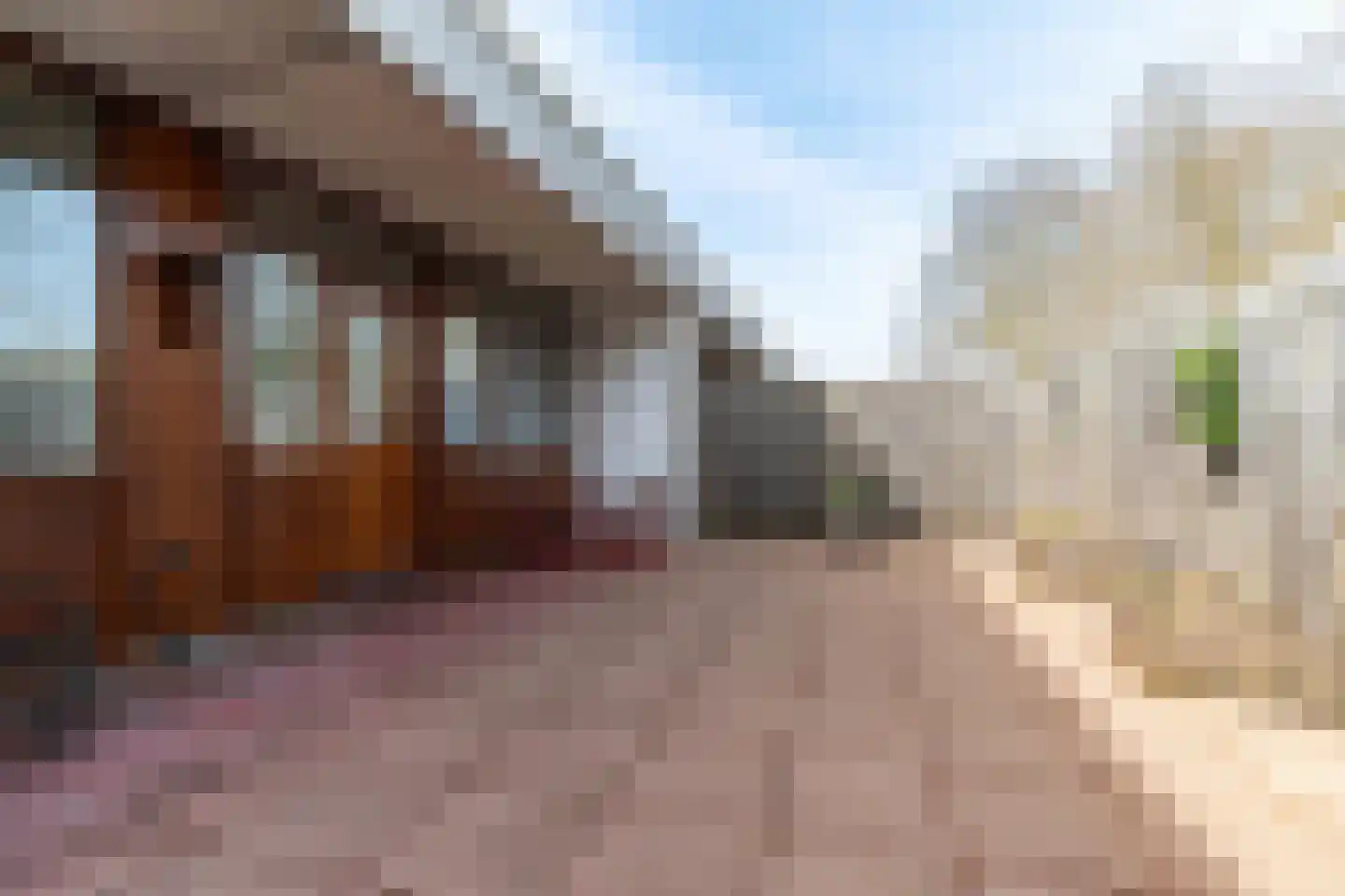 Albert Verweylaan 5 Delft thumbnail 6
